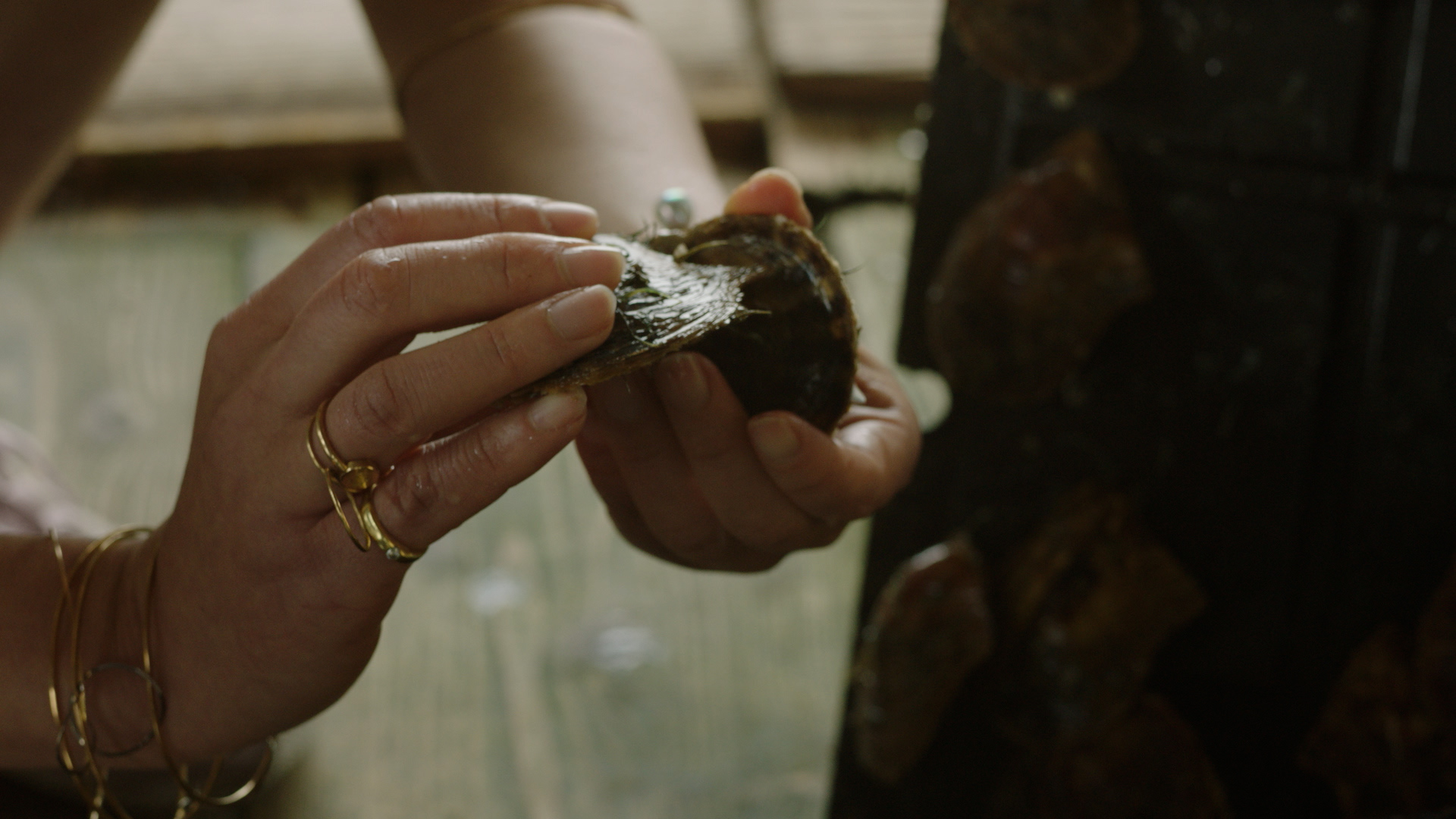 Acoya_pearl_07 – kyl.00_00_56_21.Still010