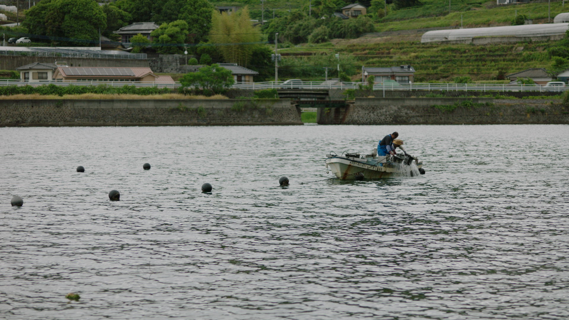 Acoya_pearl_07 – kyl.00_01_19_19.Still013