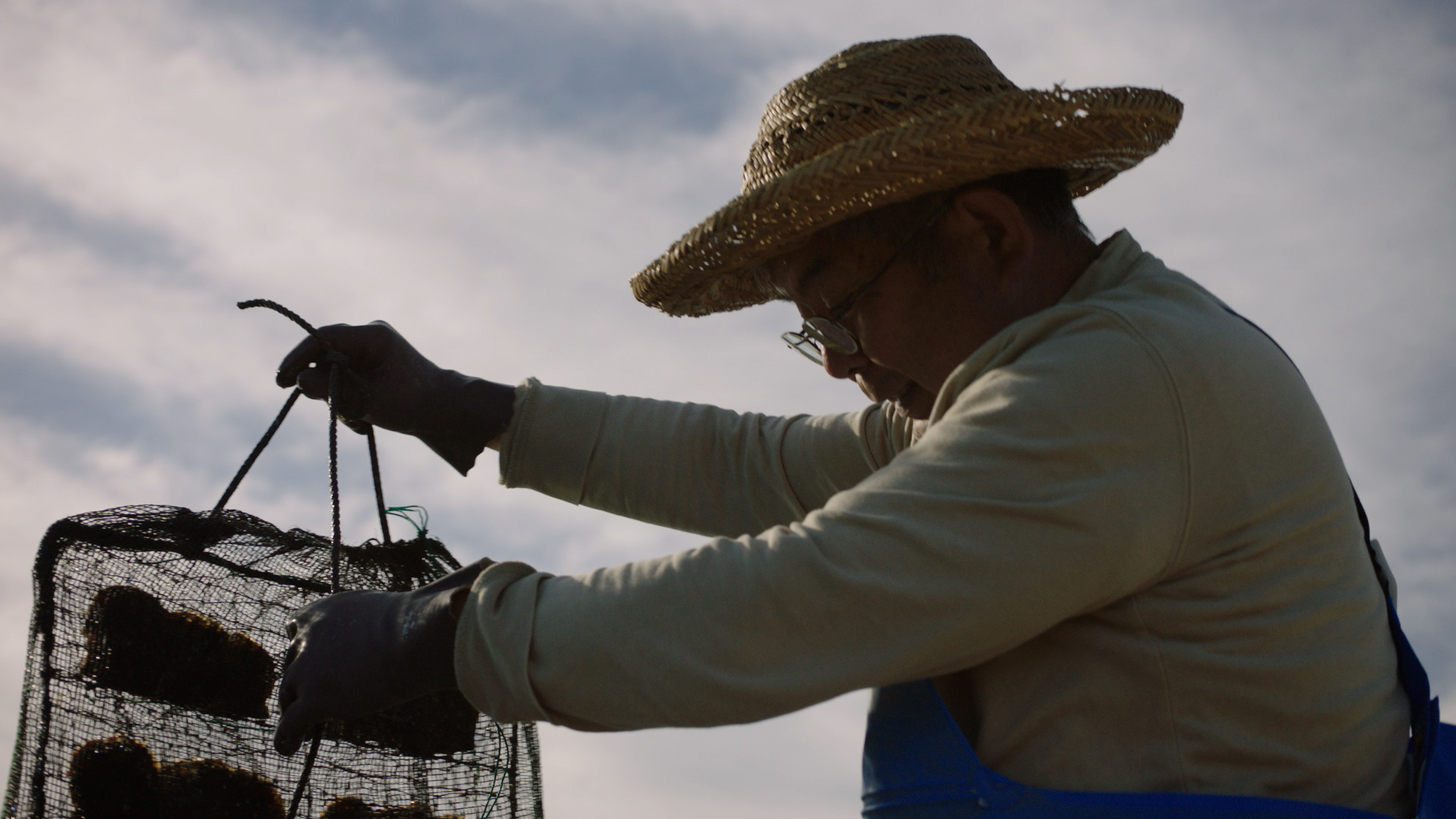 Acoya_pearl_07 – kyl.00_06_41_01.Still025